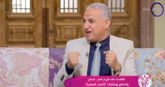 كبير الأثريين بوزارة السياحة والآثار يروى حكاية شجرة الشيخ نصر الدين فى قنا