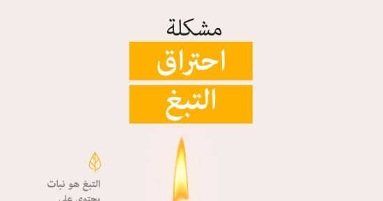 تكنولوجيا التبغ المُسخن.. حائط صد للحفاظ على البيئة وبديل أفضل من "الدخان"
