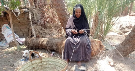 تتحدى السن بصناعة المقاطف.. "باتعة" 40 سنة فى صناعة مقطف السعف بقنا.. صور