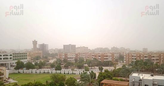 عواصف ترابية تصيب الوادي الجديد بالشلل وتعيق الرؤية على الطرق السريعة.. صور