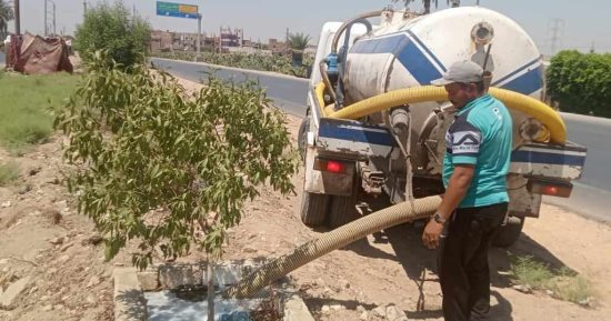 زراعة 145 شجرة زينة ومثمرة بمطاى ورى الأشجار بسمالوط