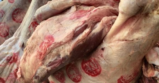 محافظة الجيزة تضبط 4.65 طن لحوم فاسدة ومذبوحة خارج المجازر