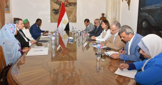 وزيرة الثقافة تبحث آليات تقديم الخدمات الثقافية للجالية السودانية بمصر