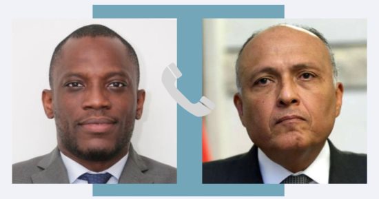 وزير الخارجية يؤكد ضرورة حل الأزمة فى النيجر بالطرق الدبلوماسية
