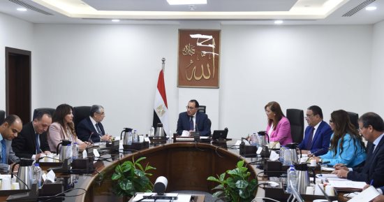 رئيس الوزراء يتابع موقف مشروعات "مستقبل مصر" والدلتا الجديدة