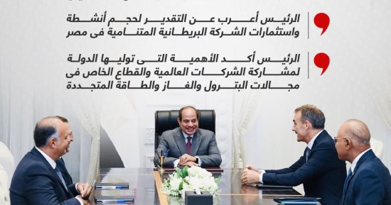 الرئيس السيسى يستقبل الرئيس التنفيذى لـ"بريتيش بيتروليومBP".. إنفوجراف