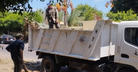 رفع 60 طنا من المخلفات الزراعية بالمقابر فى الإسكندرية