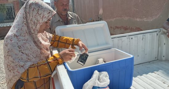 حملات بيطرية للتفتيش على محال الجزارة فى الإسماعيلية