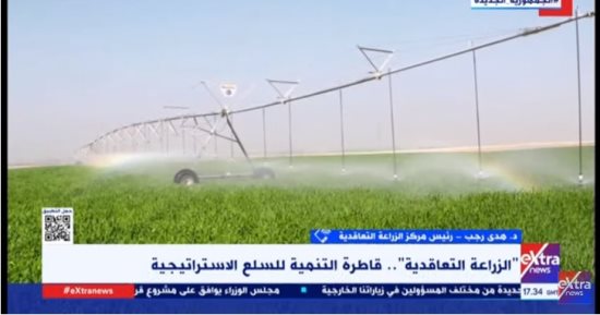 "الزراعة التعاقدية": التوسع فى زراعة المحاصيل الاستراتيجية بتوشكى فاق الخيال