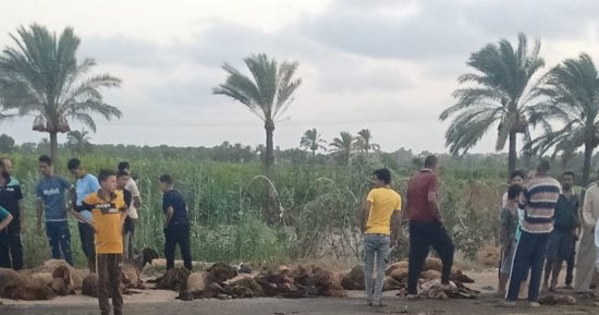مصرع شاب ونفوق 20 رأس غنم على الطريق الدولى الساحلى بسبب انحراف تريلا