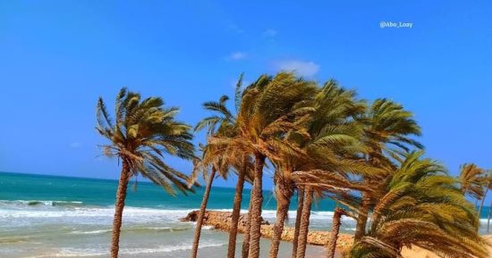 أجمل مشاهد الطبيعة.. شواطئ العريش تنعش السياحة وتجذب الزوار (صور)