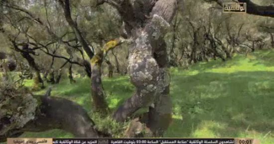 الوثائقية تعيد عرض "أقسى بقاع أفريقيا" و"أجنحة صغيرة" و"عالم نجيب محفوظ"