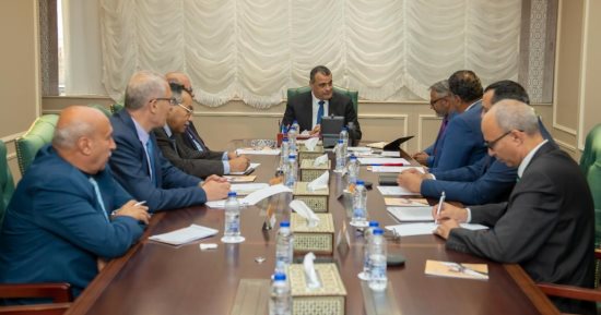 "وزير الإنتاج الحربى" يبحث سبل تعزيز التعاون مع "DMG MORI" الألمانية اليابانية