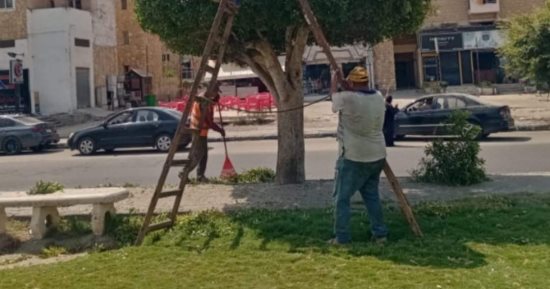 صيانة المسطحات الخضراء استعدادًا لمهرجان الإسماعيلية الدولى للفنون الشعبية