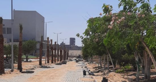 السيد قنديل: تحويل جامعة حلوان إلى "جامعة تكنولوجية – جامعة خضراء"