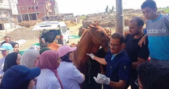 ‫الزراعة تطلق قافلة بيطرية لعلاج مواشي صغار المربين مجانا بدمياط ضمن حياة كريمة