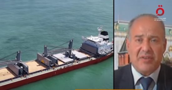 متخصص في الشأن الدولي: روسيا ترغب في تطبيق كل بنود اتفاقية الحبوب