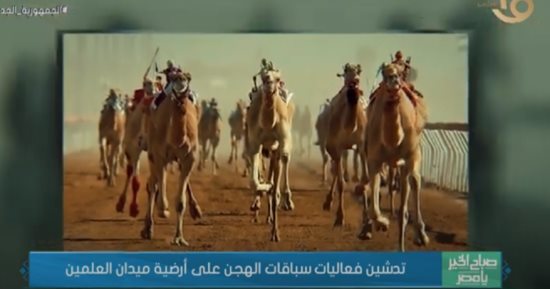 "صباح الخير يا مصر" يسلط الضوء على تدشين سباقات الهجن فى العلمين