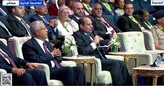 الرئيس السيسى: يمكن تنظيم هجرة مشروعة للدول التى تعانى نقص المواليد