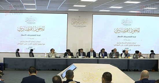 لجنة الدين العام بالحوار الوطنى تبحث الحد من التهرب الضريبى