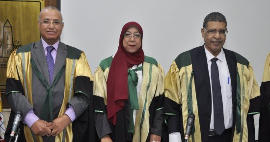 رسالة ماجستير بجامعة عين شمس حول "تحسين كفاءة الأداء المالى فى القطاع الحكومى"