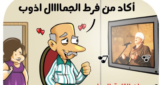 المصريون "ذابوا" من فرط جمال مهرجان القلعة.. بكاريكاتير اليوم السابع