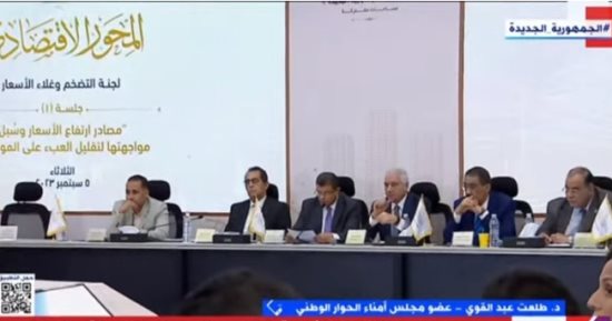 طلعت عبد القوى: المرحلة الثانية من الحوار الوطنى لاستكمال خارطة الطريق وإنهاء الجلسات العامة