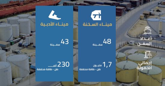 تعرف على حركة السفن والتداول بموانئ المنطقة الاقتصادية لقناة السويس.. إنفوجراف