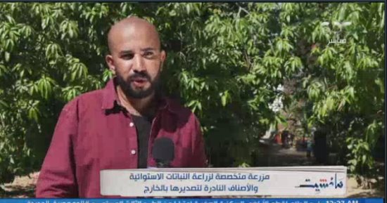 مانشيت يعرض تقريرا عن مزرعة متخصصة في زراعة النباتات الاستوائية