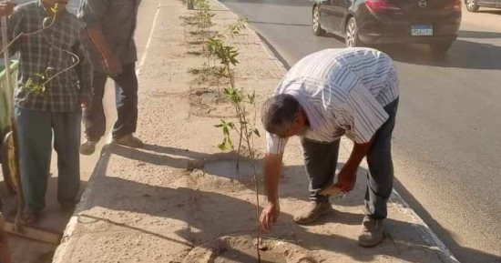 زراعة أشجار مثمرة وأخرى للزينة بمركزين بالمنيا ضمن مبادرة "100 مليون شجرة"