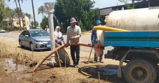 جهود الوحدات المحلية بالمنوفية فى متابعة أعمال المبادرة الرئاسية " 100 مليون شجرة "