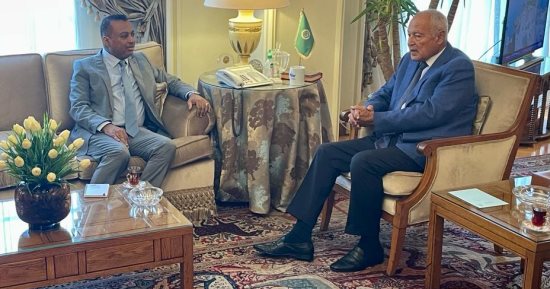 حزب سوداني: أبو الغيط يبحث مع جعفر الميرغنى سبل دعم وإغاثة أهل السودان