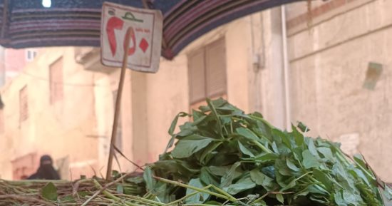 أسعار الخضراوات فى مصر.. الطماطم من 8 إلى 12 جنيها والبطاطس بـ10 جنيهات