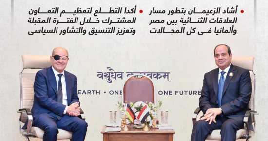 الرئيس السيسى يلتقى المستشار الألمانى على هامش انعقاد قمة العشرين (إنفوجراف)