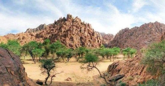 تخصيص 8 أيام خلال السنة لإلقاء الضوء على قضايا تخص البيئة والاستدامة