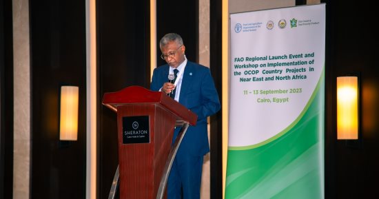 الفاو تطلق مبادرة عالمية من القاهرة للتنمية الخضراء.. المنظمة تشيد بالتمور المصرية واختيارها ضمن المبادرة العالمية.. "الزراعة": مصر الأولى عالميا فى إنتاج التمور بـ19% من الإنتاج العالمى 24% من الإنتاج العربى