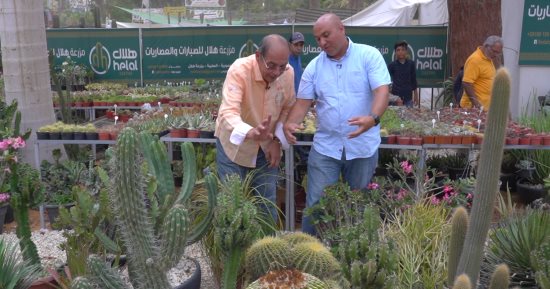 "شردى جاردن" يعرض أغرب أنواع الصبارات والشوكيات.. هنقولك تزرعها إزاى