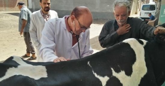 جامعة الزقازيق توجه قافلة بيطرية لقرية كفر العلماء مركز فاقوس بالشرقية