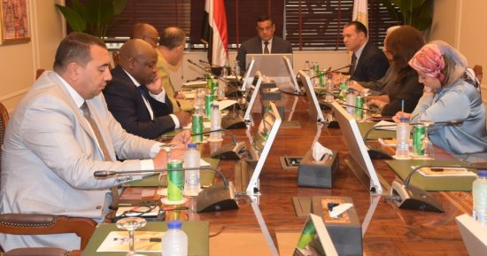 مسئول فى رئاسة جنوب أفريقيا: ما شهدته مصر طفرة غير مسبوقة وينبغى الاستفادة منها