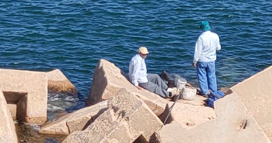 ممارسة الصيد على شواطئ الإسكندرية بعد انكسار موجة الطقس السيئ.. صور