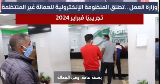 التفاصيل الخاصة بإطلاق المنظومة الإلكترونية للعمالة غير المنتظمة تجريبيا