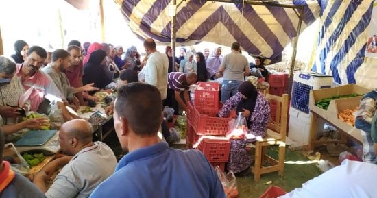 الصوب تحارب غلاء الأسعار فى الوادى الجديد.. 1820 صوبة وفرت الخضراوات بتخفيض 45%.. تدشين منافذ تابعة للوحدات المحلية لطرح المنتجات وإقبال غير مسبوق على الشراء.. رئيس مركز الداخلة يطرح مبادرة لصالح المواطنين..صور