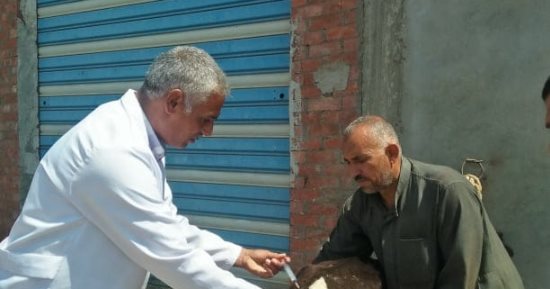 حياة كريمة.. جامعة الزقازيق توجه قافلة بيطرية لقرية عزبة كركور بأبو كبير