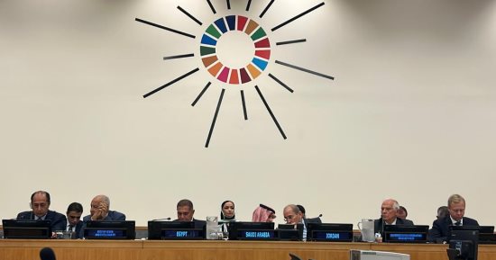 أبو الغيط: حل الدولتين يحتضر.. وهو السبيل الوحيد لإرساء السلام بالمنطقة