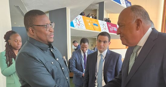 وزير الخارجية يؤكد ضرورة عدم التدخل فى شئون السودان الداخلية