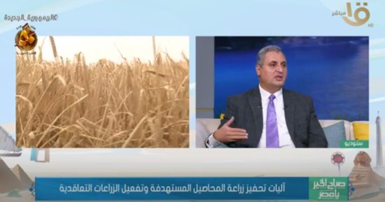 الزراعة: وفرنا 100% من احتياجات المزارعين من تقاوى القمح هذا العام