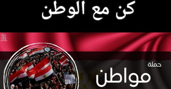 الجالية المصرية بأمريكا تدشن حملة موسعة لدعم الرئيس السيسى فى انتخابات الرئاسة