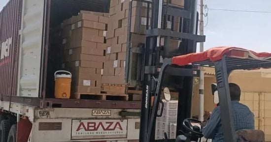 موسم الخير فى الوادى الجديد.. نجاح تصدير أول شحنة تمور إلى الخارج.. سعر توريد البلح يبدأ من 35 جنيها للكيلو.. المجمعات تعمل بكامل طاقتها ومنافذ للجمع.. والمحافظ: نبذل جهودا كبيرة لتنظيم موسم ناجح.. صور