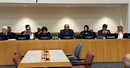 شكرى يطالب الدول بالوفاء بتعهداتها المالية نحو التداعيات الإنسانية فى السودان