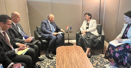 وزير الخارجية يبحث مع نظيرته النيوزيلندية تعزيز العلاقات الاقتصادية بين البلدين
